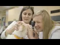Banfield s Veterinary Student Job Program
