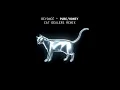 Beyoncé - PURE/HONEY (Cat Dealers Remix)