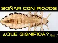 Que es Sonar con PIOJOS