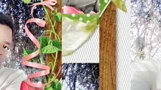 Sirabaa Jalaalaa Onnee 