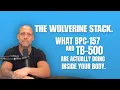 The Wolverine Stack What BPC-157 and TB-500 Are Actually Doing Inside Your Body