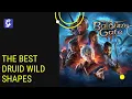 The Best Druid Wild Shapes Forms Baldur s Gate 3