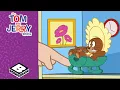 Download Lagu Jerry's New Friend | Tom \u0026 Jerry Show | Boomerang UK
