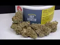 Strain Review MAC-1 By Holy Mountain