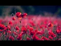 Varma Ijud - Dreamy Brown Noise (Ambient)