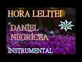 Download Lagu █▬█ █ ▀█▀  2023 HORA LELITEI .DANIEL NEGRICEA [ DOMN PROFESOR DANCIU ]