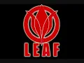 LEAF - Without you