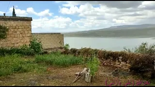 بعرافو عفرين علي بازنلي 