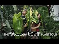 Download Lagu The AMAZING AMAZON Tropical Garden in BORNEO  | 18 PRO TIPs Plant care \u0026 Garden Design ft Au Yong