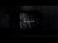Desiderii Marginis — Land of Strangers