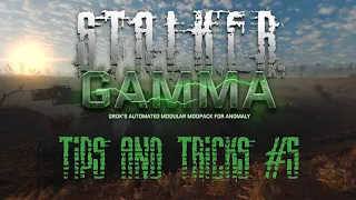 Exoskeletons Explained and More Stalker GAMMA Tips and Tricks