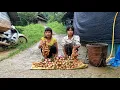 Download Lagu poor girl and homeless girl go pick fire berries to sell and raise pigs, ducks, chickens for the boy