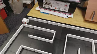 Maze Solving Hamster Robot with Python