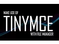 TinyMCE WYSIWYG Editor with File Manager Integration For Blog Posts