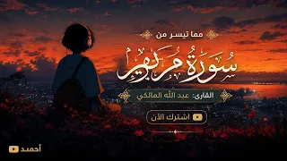 ويقول الإنسان أإذا مت لسوف أخرج حيا   تلاوة خاشعة سورة مريم   عبد الله المالكي  أحمد  دندنها