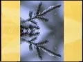 Download Lagu TV4 - Trailer, reklam och hallåa Lucette Rådström - 2004-01-30