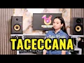 Lagu Taceccana - Salsa Nabila || Cover Version || lagu bugis Viral 2025