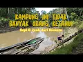 Download Lagu A Journey to a Dayak Village Far From the Crowds: TELUK LIHAT, CENTRAL KALIMANTAN