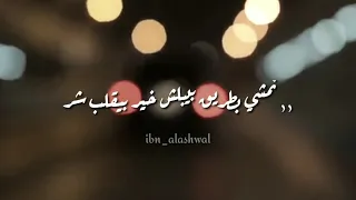 وائل كفوري كلنا مننجر حالات واتساب تصميم روووعة 