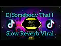 🔊DJ SOMEBODY THAT I USED TO KNOW SLOW REVERB VIRAL TIK TOK!!!🎶
