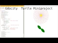 Udacity Turtle Miniproject