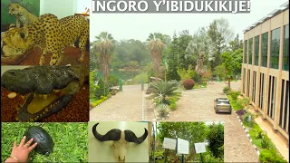 INGWE, INGONA,IBUYE RYAVUYE KU KWEZI, IMITI YIHARIYE..NGWINO TUJYANE MU NGORO Y’IBIDUKIKIJE KARONGI!