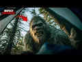 Download Lagu 9 Strange Bigfoot Encounters That No One Can Explain