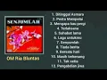 Download Lagu Full album senyumlah om ria bluntas.