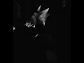 Tamino - Dissolve (Live) Ankara ODTÜ Vişnelik (13.09.2023)