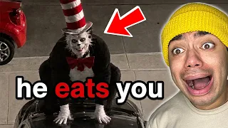 The Cat in the Hat Viral Trend is TERRIFYING!!