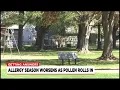 Expert explains how to beat seasonal allergies as pollen counts rise