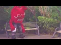 Felipe Botello y El Sonoro Rugir - Corazón Amargo