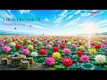 Lotus Horizon IX | Eternal Morning • Deep Sleep & Meditation Nylon Guitar #LotusHorizon #NylonZen