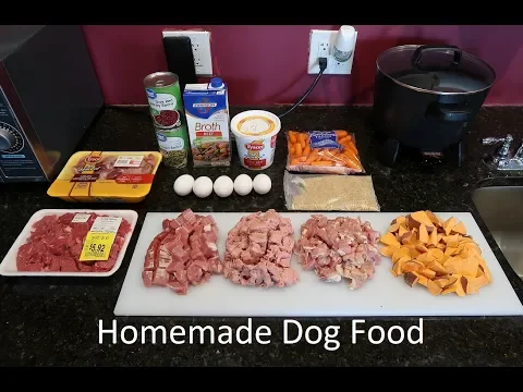 Download MP3 Best Homemade Dog Food Video - From A Past Vet Tech!