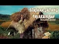 Lagu Review - situjuh gadang | pesona payakumbuh | drone xiro | xiomi yi | canon m3  #putraausa