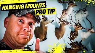 THE BEST and EASIEST Way to Hang a Deer Mount