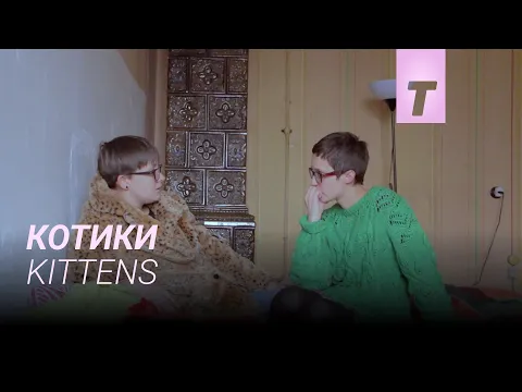 Котики / Kittens