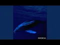 Download Lagu Ray (2025 Remastered Version)