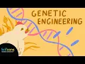 What is Genetic Engineering
