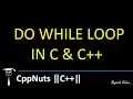 Do While Loop In C