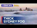 Download Lagu Thick fog over Sydney causes flights to be diverted away | 9 News Australia