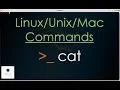 cat command in