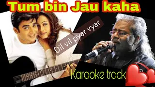 Download Tum Bin Jaaoon Kahan | Hindi Karaoke track | Dil vil pyar vyar | Hariharan | Madhavan MP3