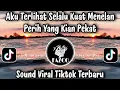 Lagu SAKIT YANG TAK KAU LIHAT - AKU TERLIHAT SELALU KUAT MENELAN PERIH YANG KIAN PEKAT / SOUND VIRAL 2026