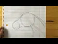 Drawing a Horse Head