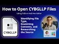 How to Open CYBGLLP Files Unknown Data Format