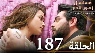 الحلقة 187 مسلسل زهور الدم مدبلج بالعربية Kan Çiçekleri 