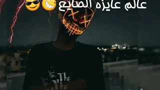 ضايع شاري وقالوا انا بايع عالم عايزه الصايع 