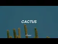Cactus - Gustavo Cerati // Letra