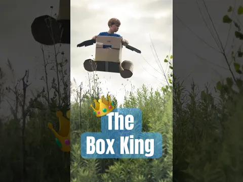 The BOX KING